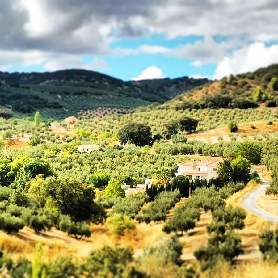 Cortijo Pennymaria Poolside Apartment Near Montefrio With Stunning Views Exterior photo