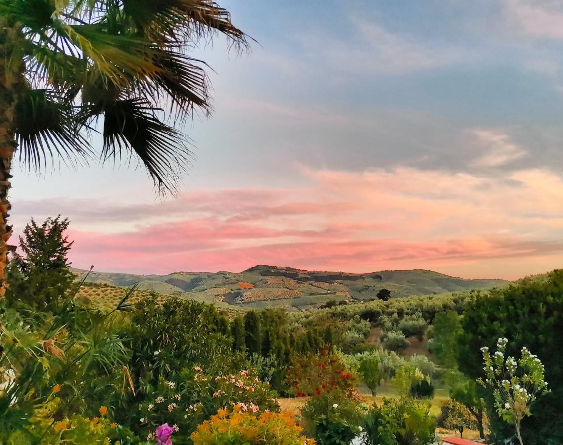 Cortijo Pennymaria Poolside Apartment Near Montefrio With Stunning Views Exterior photo